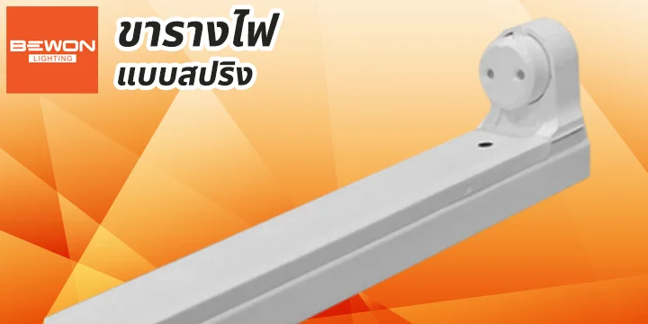 head_cat_ขารางสปริง ขารางไฟนีออน ชุดหลอดนีออน