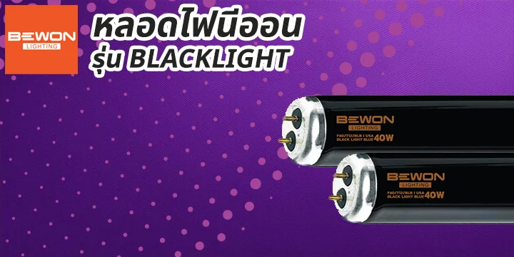 head_cat_หลอดนีออนBlackLight หลอดนีออน
