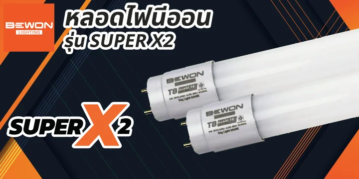 head_cat_หลอดนีออนX2 หลอดนีออน