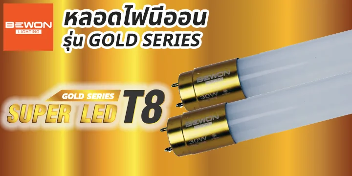 head_cat_หลอดนีออนgold หลอดนีออน