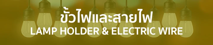 AP Electric